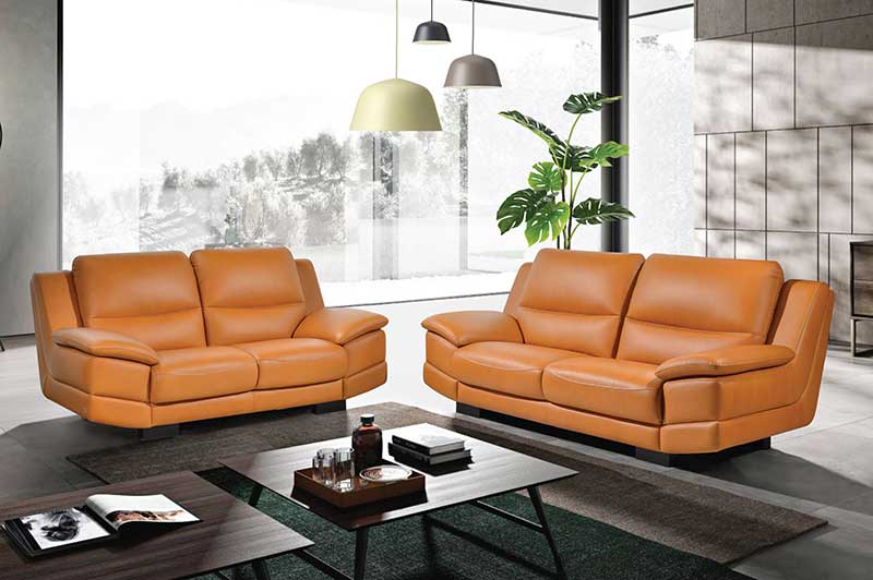 home-collection-4