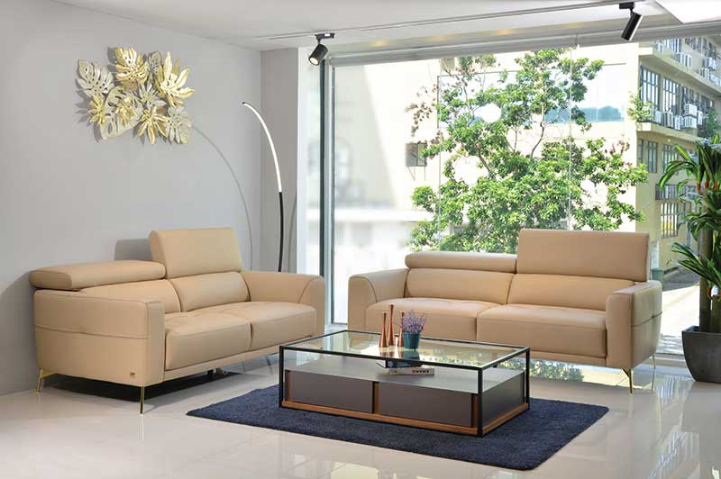 home-collection-5